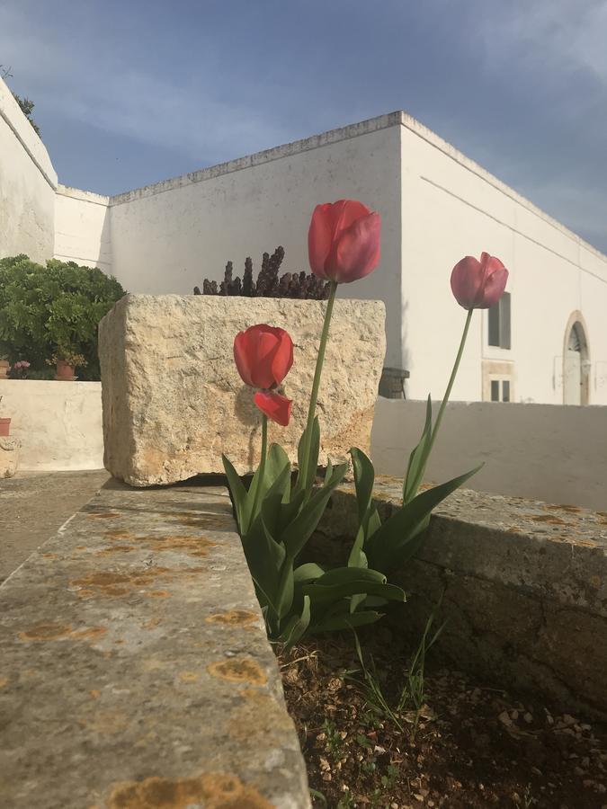 Farm stay Masseria Rienzo