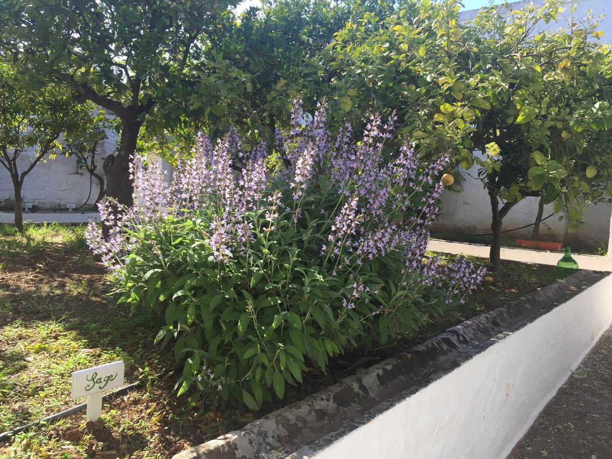 Masseria Rienzo *