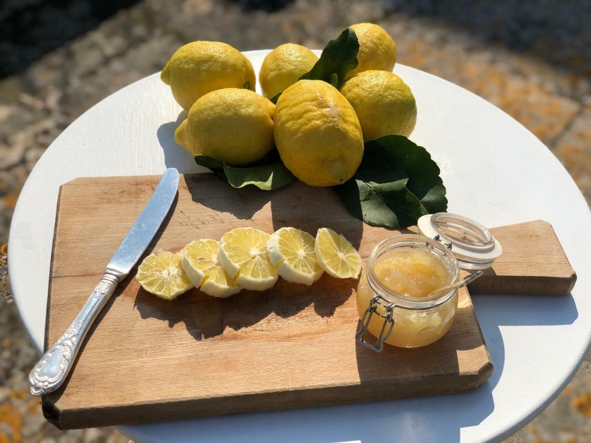 Masseria Rienzo Farm stay *